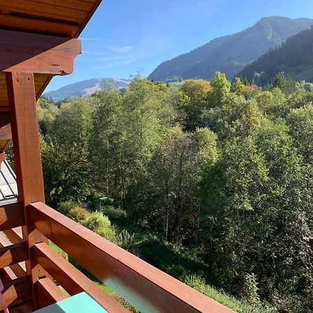 Appartement Vue Piste De Ski Praz-sur-Arly Eksteriør bilde