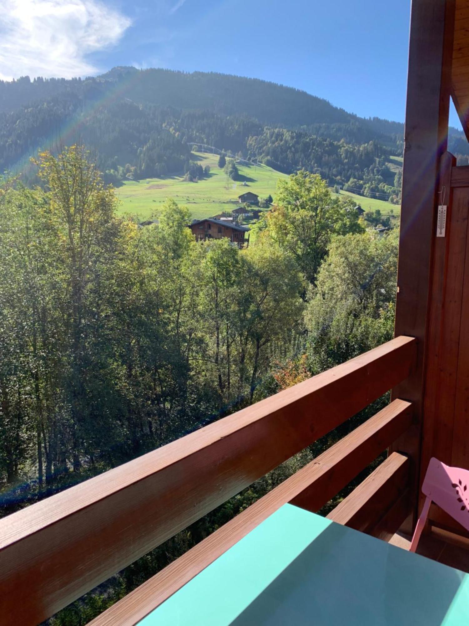 Appartement Vue Piste De Ski Praz-sur-Arly Eksteriør bilde